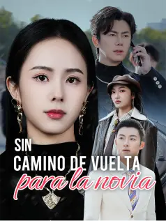 Sin camino de vuelta para la novia dizi afişi