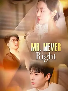 Mr. Never Right dizi afişi