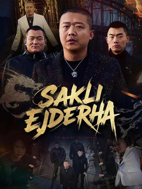 (Dublajlı) Saklı Ejderha dizi afişi