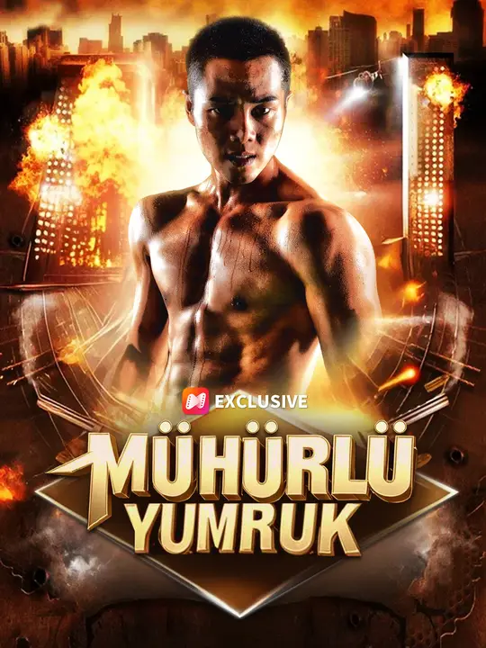 (Dublajlı) Mühürlü Yumruk dizi afişi