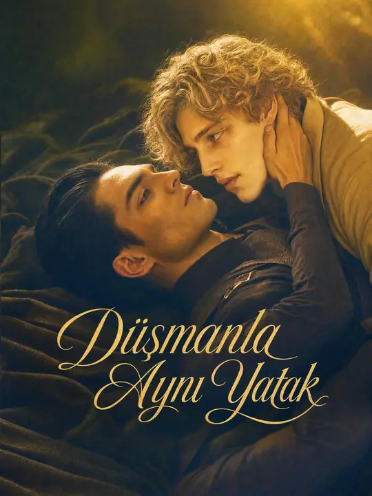 Düşmanla Aynı Yatak dizi afişi