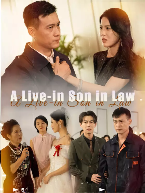 A Live-in Son in Law dizi afişi