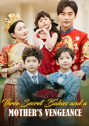 Three Secret Babies and a Mother's Vengeance dizi afişi