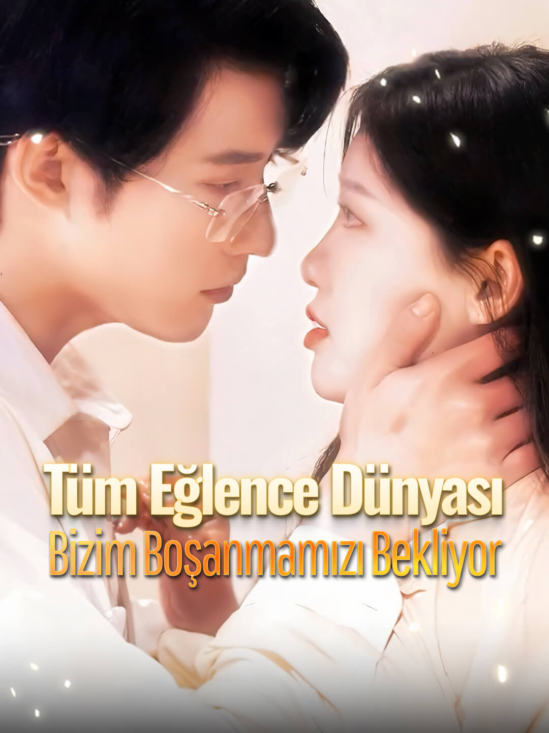 Tüm Eğlence Dünyası Bizim Boşanmamızı Bekliyor dizi afişi