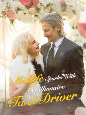 Midlife Sparks with a Billionaire Taxi Driver dizi afişi