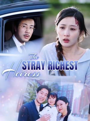 The Stray Richest Heiress dizi afişi