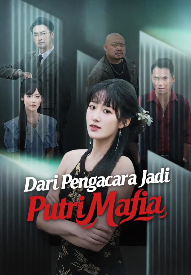 Dari Pengacara Jadi Putri Mafia dizi afişi