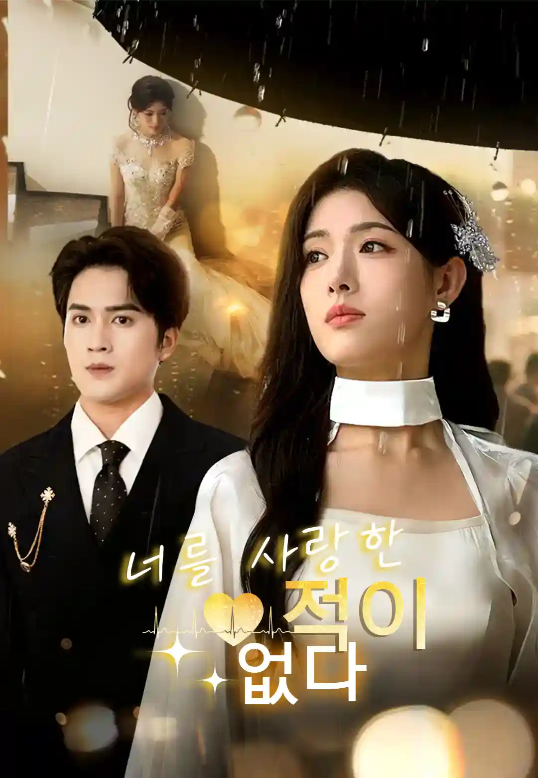 너를 사랑한 적이 없다 dizi afişi