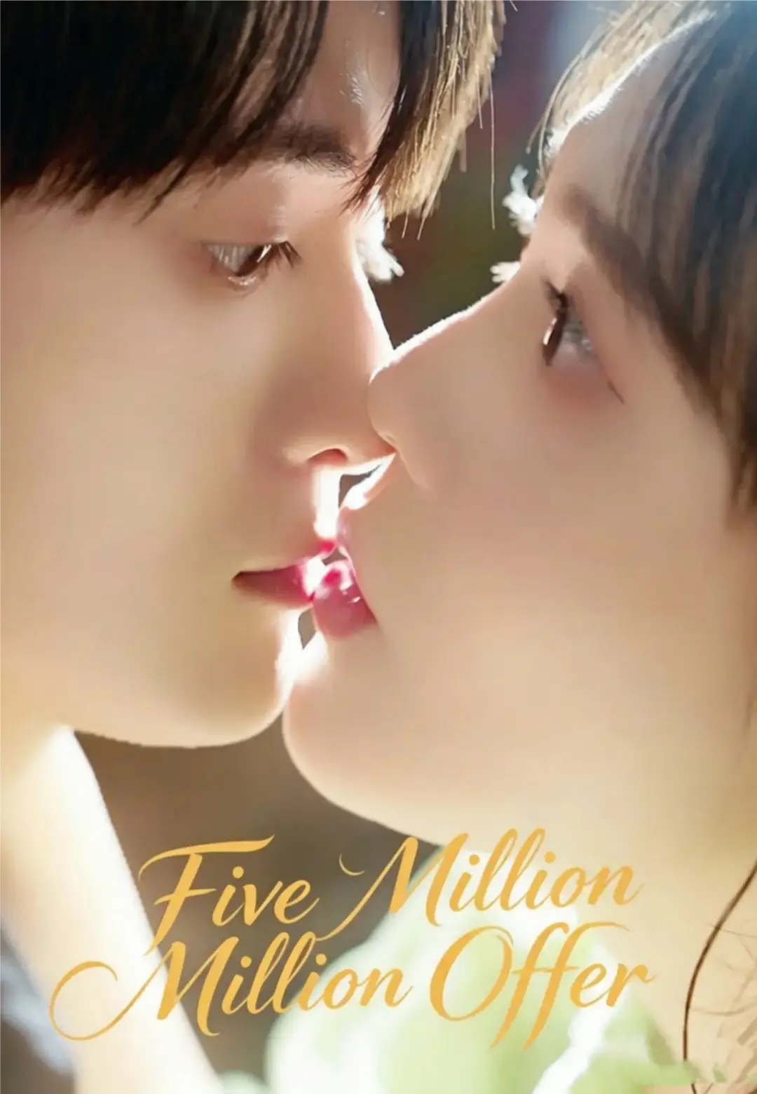 The Five Million Dollar Offer dizi afişi