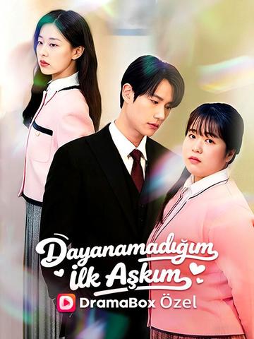 Dayanamadığım İlk Aşkım dizi afişi