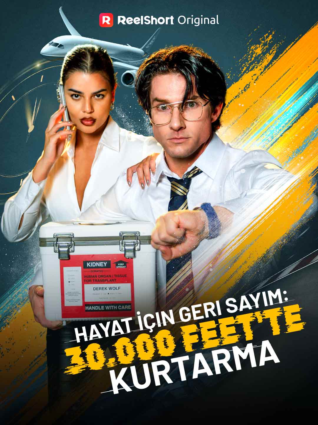 Hayat İçin Geri Sayım: 30.000 Feet'te Kurtarma dizi afişi