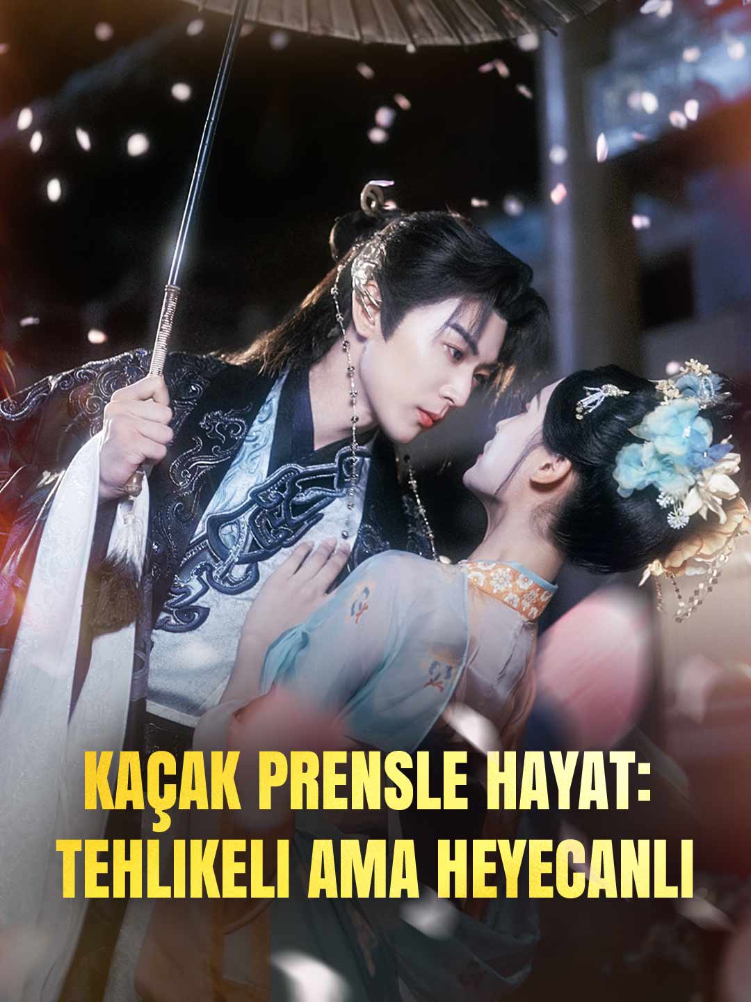 Kaçak Prensle Hayat: Tehlikeli Ama Heyecanlı dizi afişi