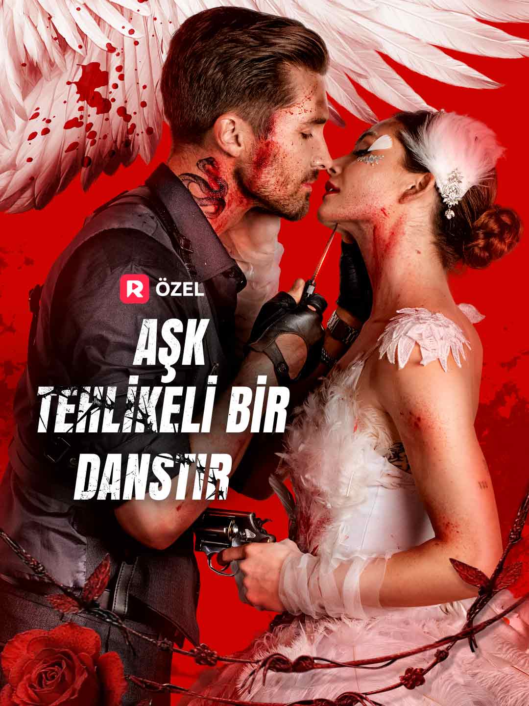 (Dublajlı) Aşk Tehlikeli Bir Danstır dizi afişi