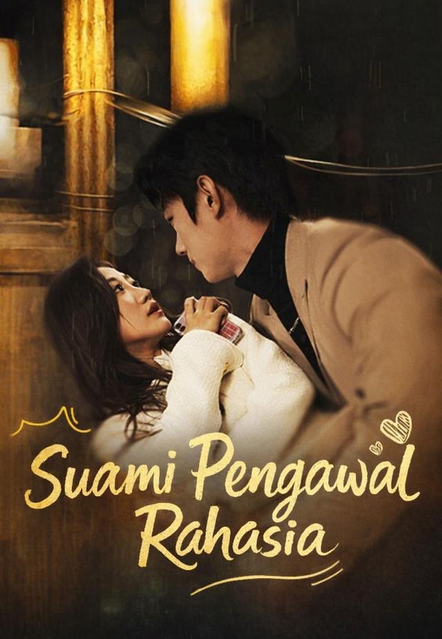 (Dub)Suami Pengawal Rahasia dizi afişi