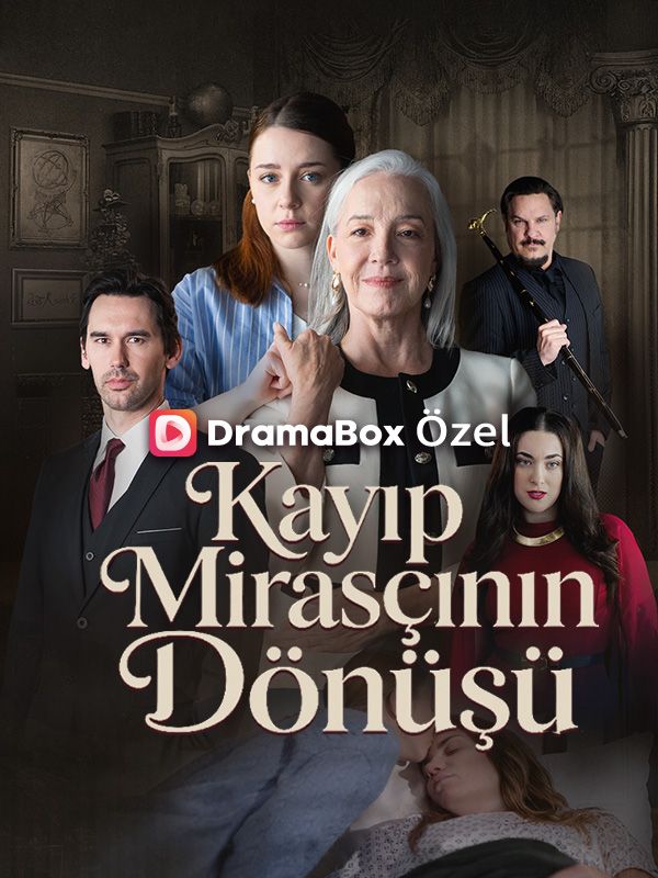 (Dublajlı) Kayıp Mirasçının Dönüşü dizi afişi