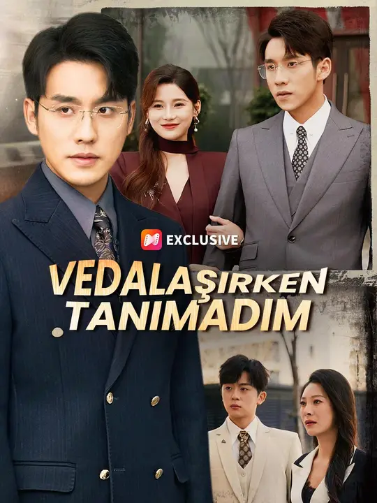 (Dublajlı) Vedalaşırken Tanımadım dizi afişi