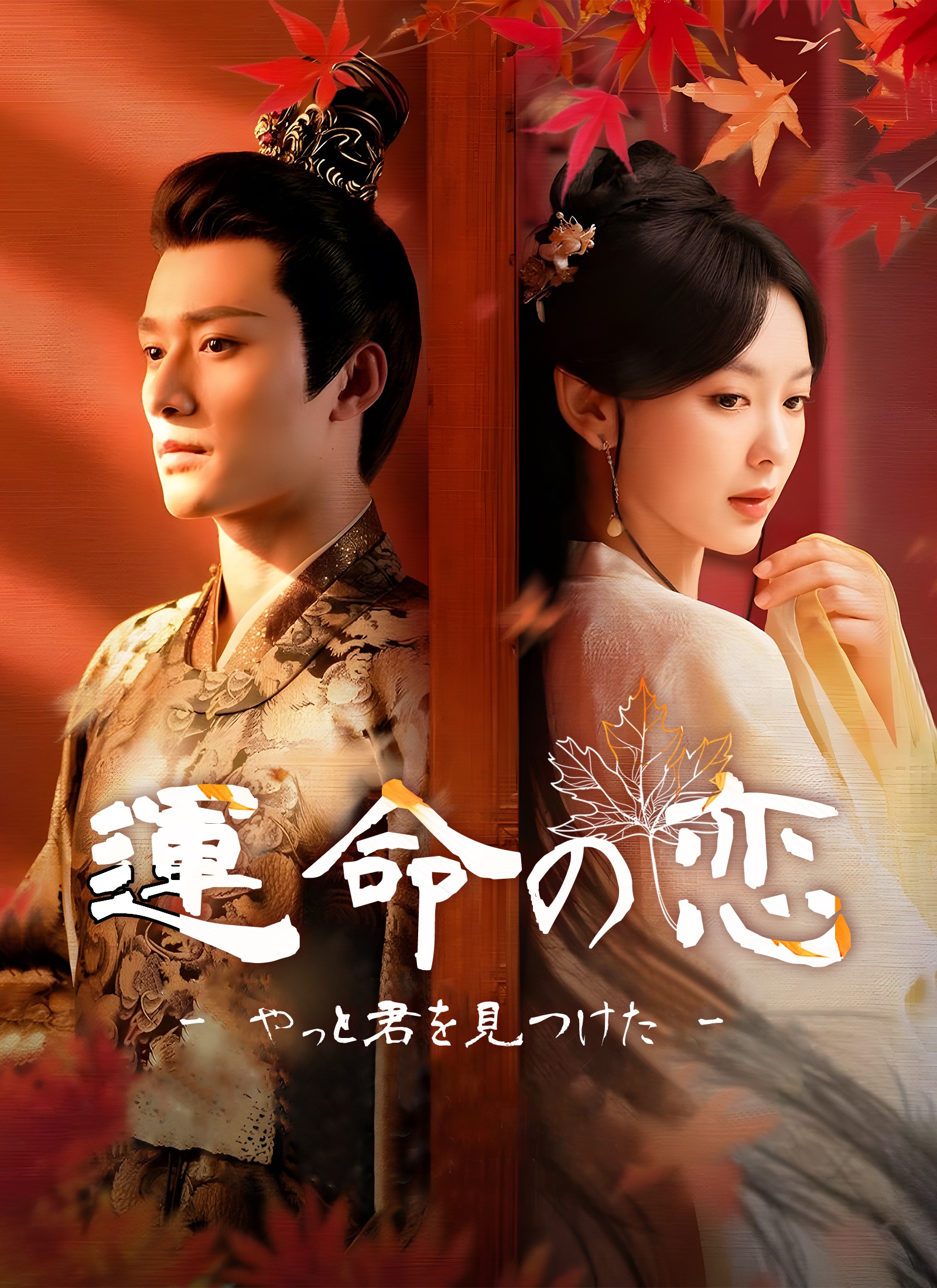 [吹替] 運命の恋～やっと君を見つけた～ dizi afişi
