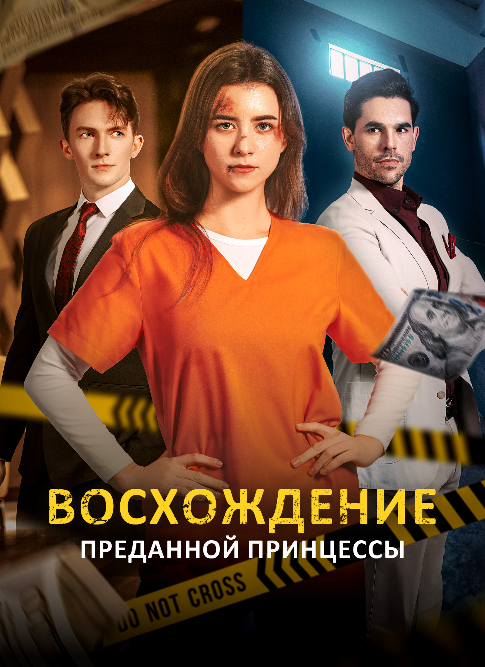 Восхождение преданной принцессы dizi afişi