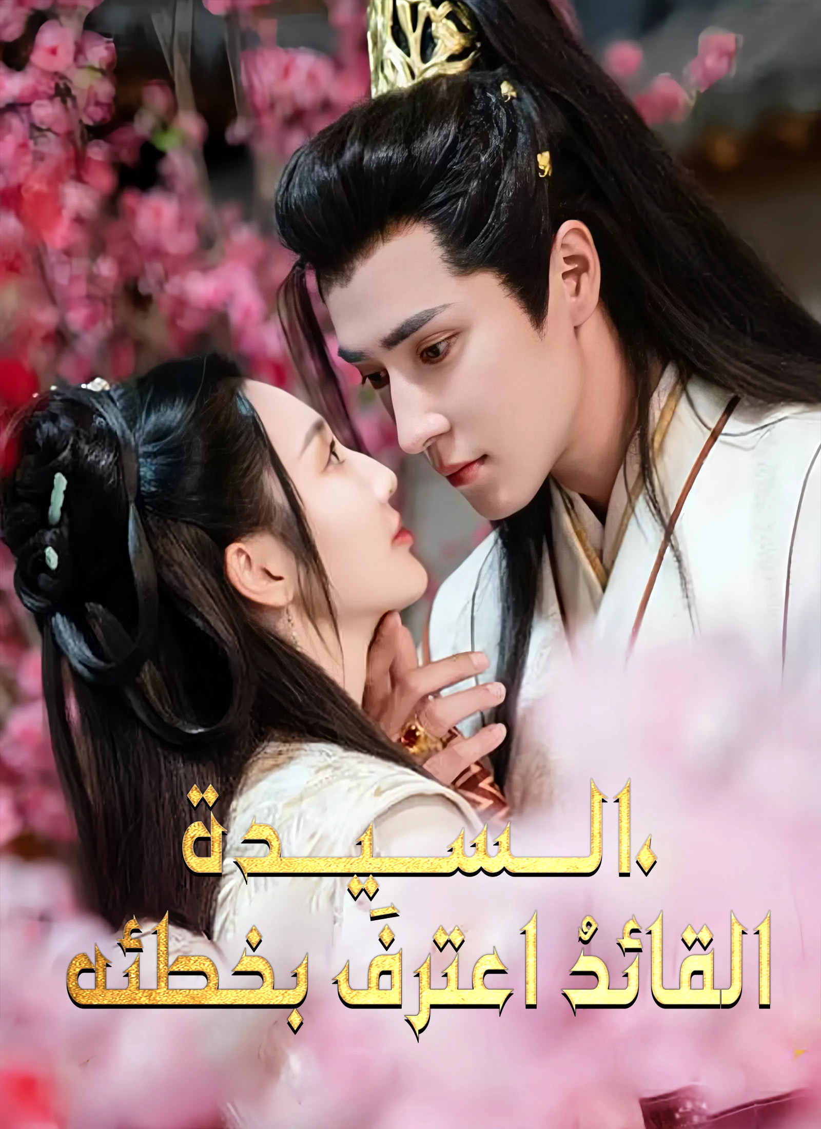 السيدة، القائد اعترف بخطئه dizi afişi