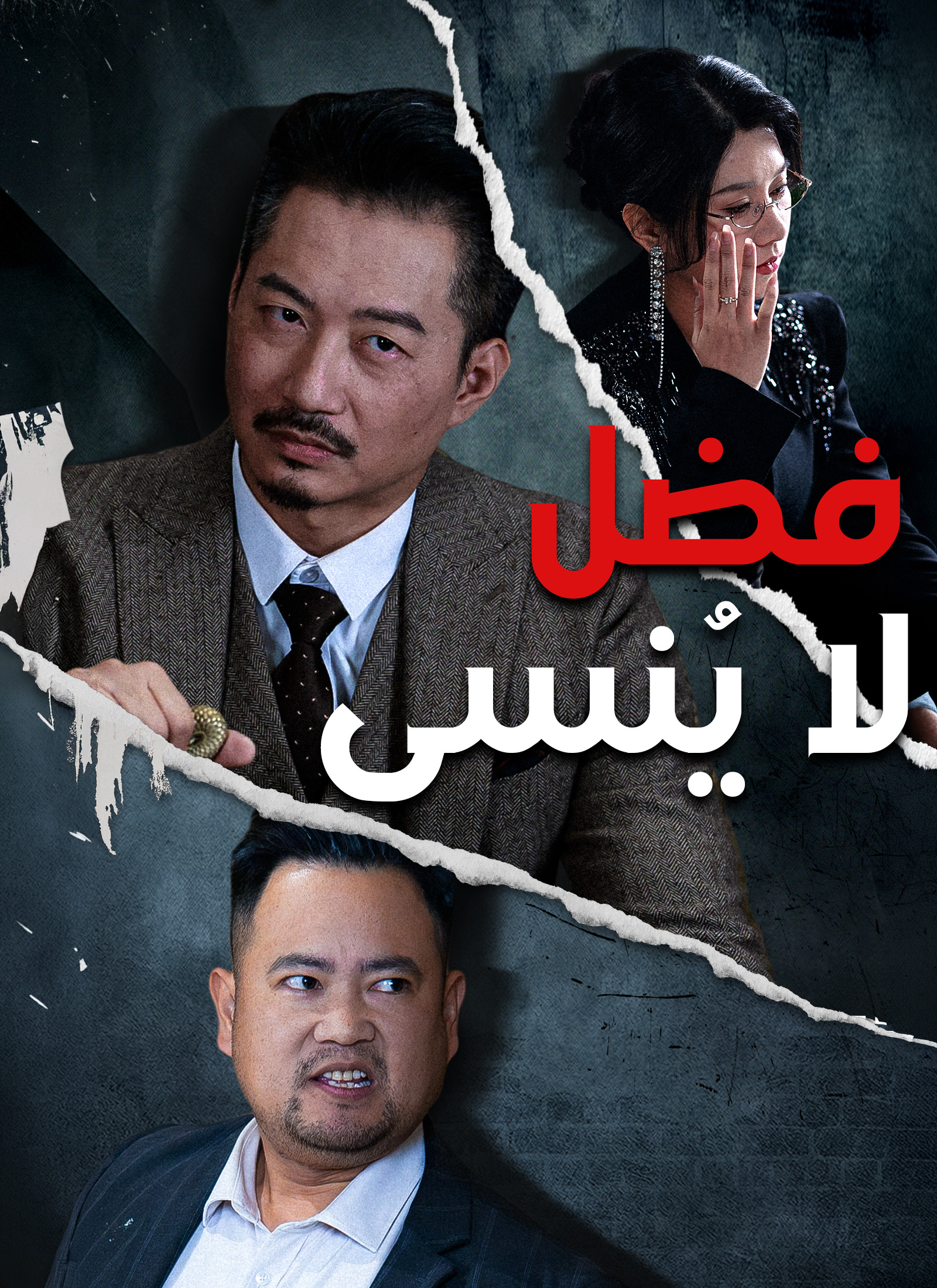 فضل لا يُنسى dizi afişi