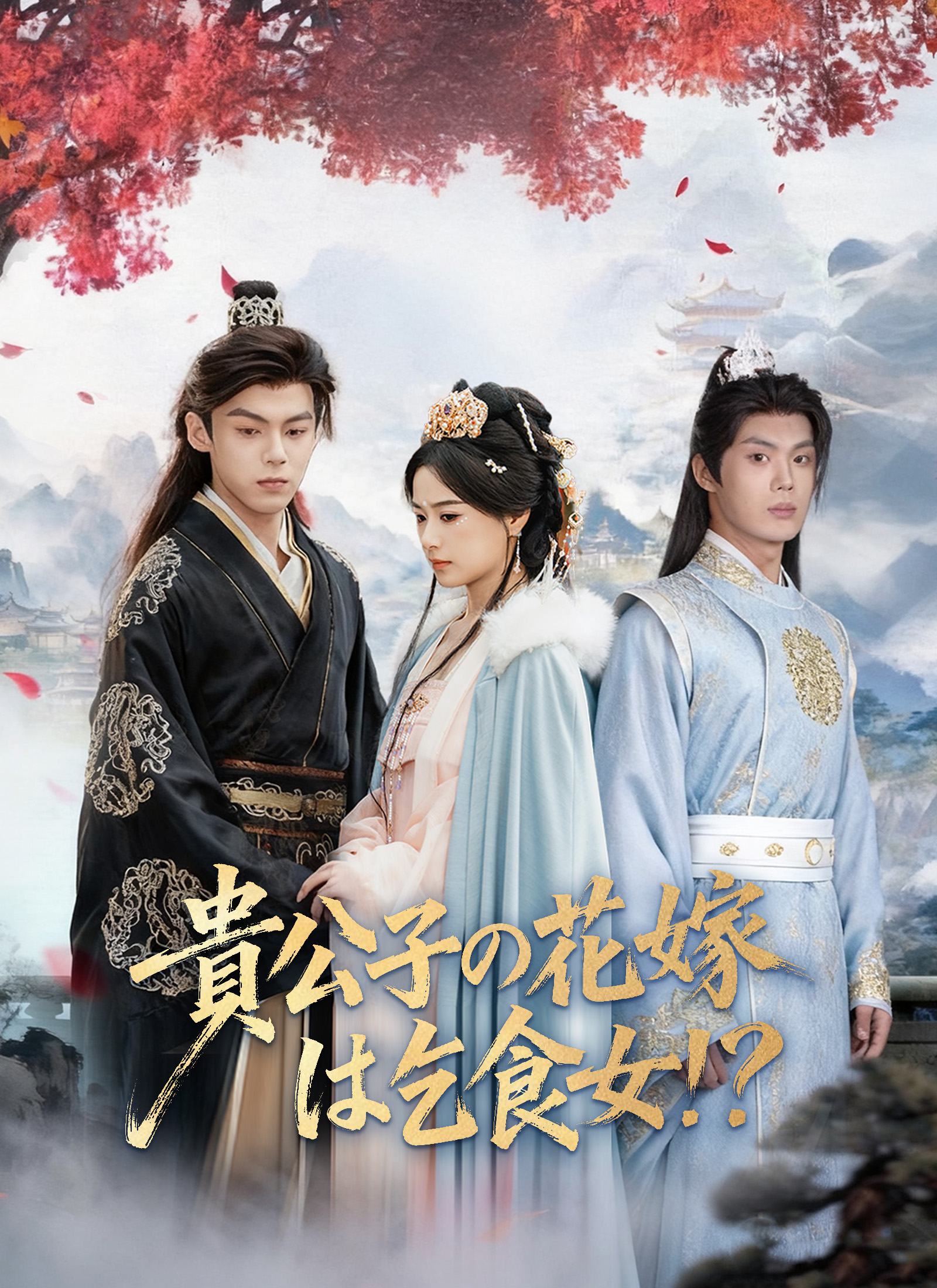 貴公子の花嫁は乞食女！？ dizi afişi