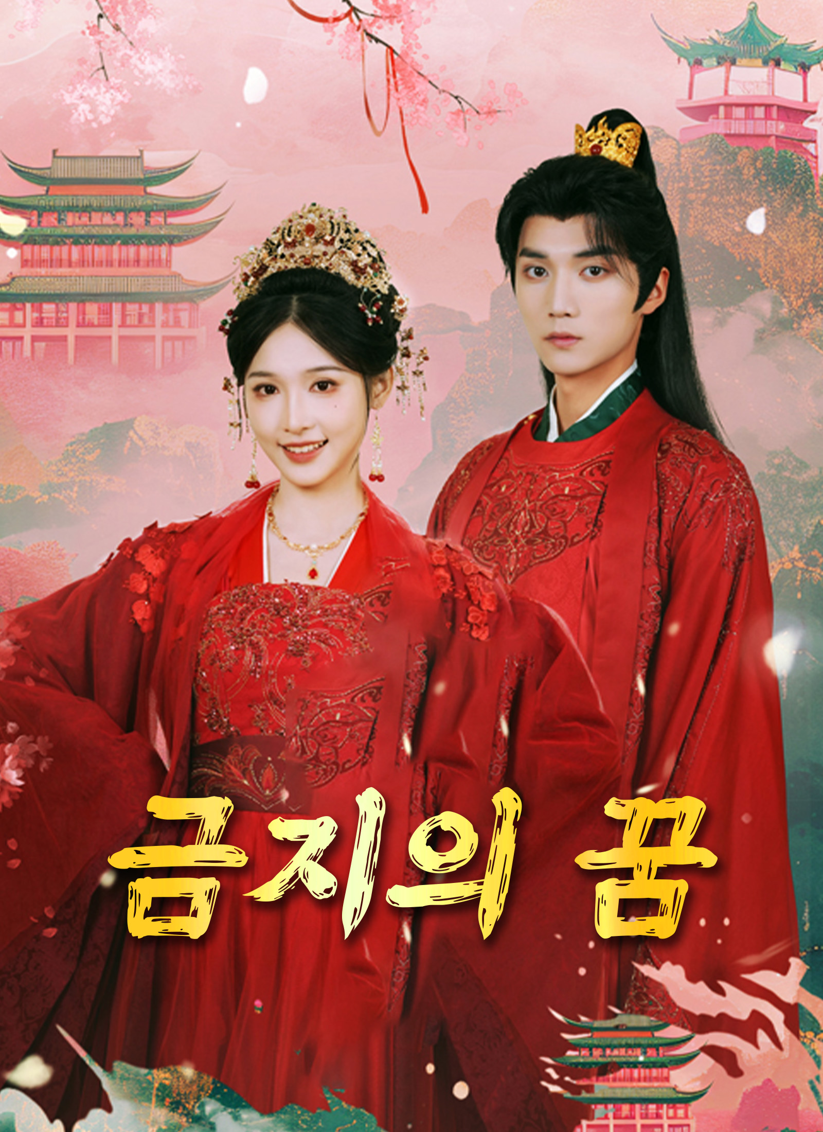 금지의 꿈 dizi afişi