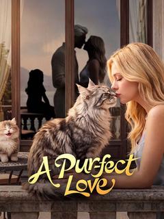 A Purr-fect Love dizi afişi