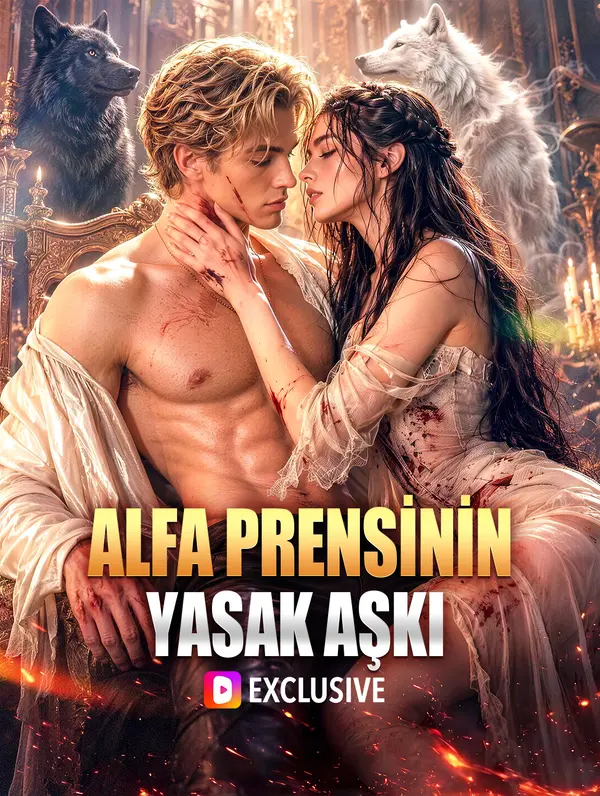ALFA PRENSİNİN YASAK AŞKI(Dublajlı) dizi afişi