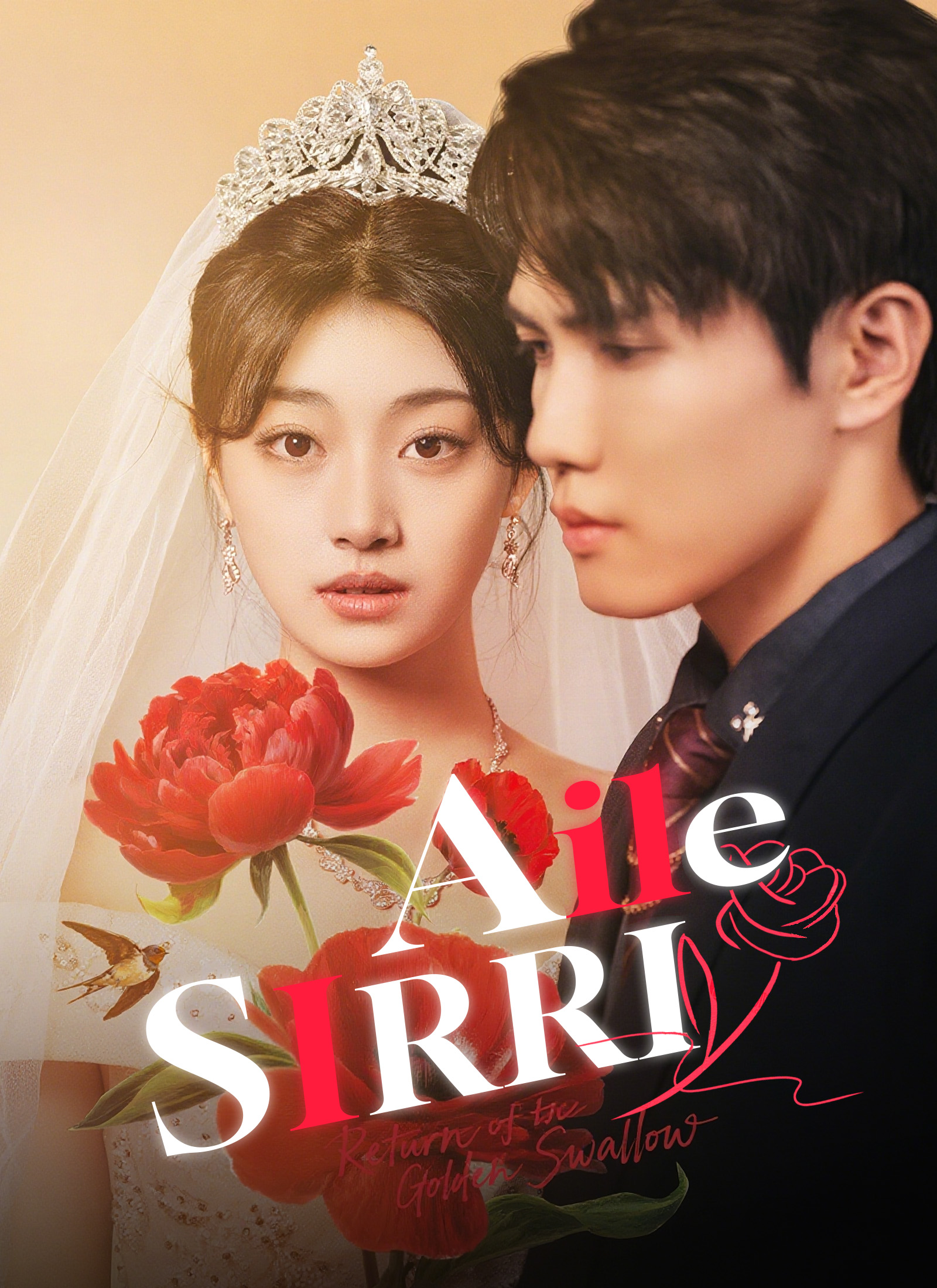 Aile Sırrı dizi afişi