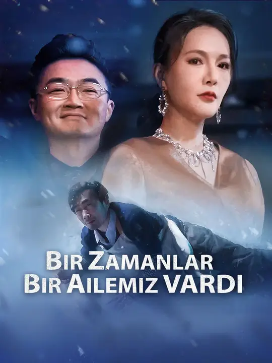 Bir zamanlar bir ailemiz vardı dizi afişi