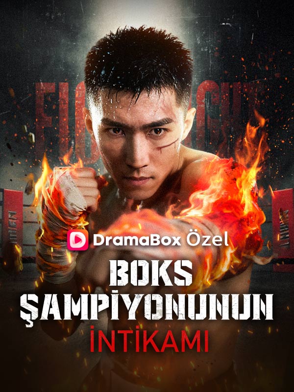 Boks Şampiyonunun İntikamı dizi afişi