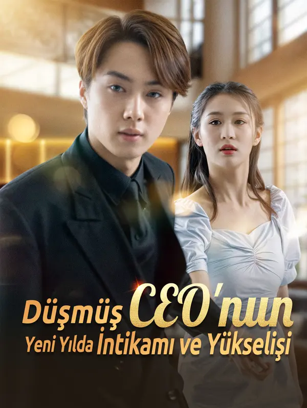 Düşmüş CEO'nun Yeni Yılda İntikamı ve Yükselişi dizi afişi