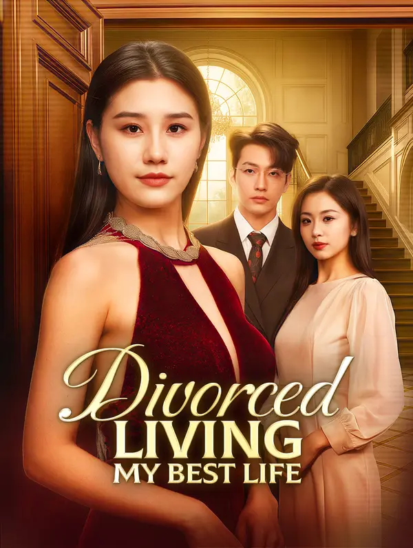 Divorced, Living My Best Life dizi afişi