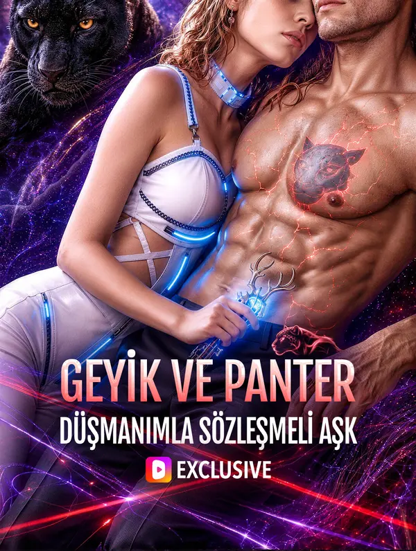 GEYİK VE PANTER: DÜŞMANIMLA SÖZLEŞMELİ AŞK dizi afişi