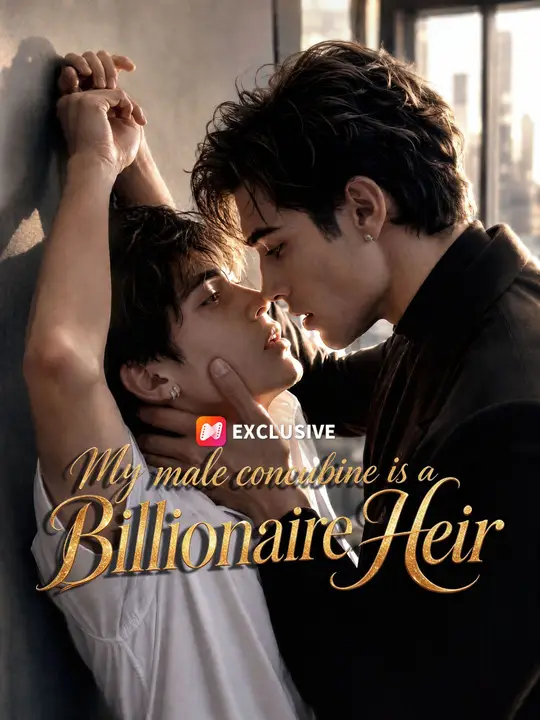 My male concubine  is a Billionaire Heir dizi afişi