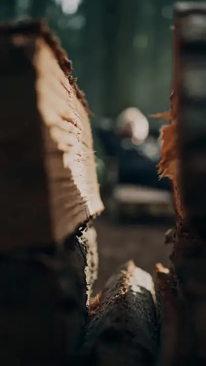 Rise of the Rejected Woodsman dizi afişi