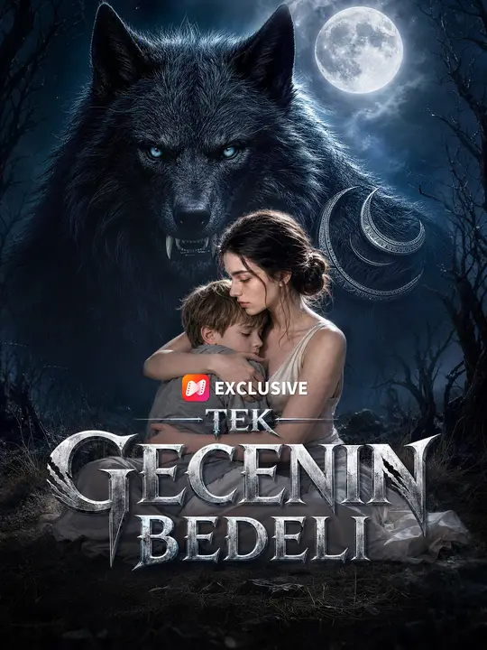 Tek Gecenin Bedeli dizi afişi