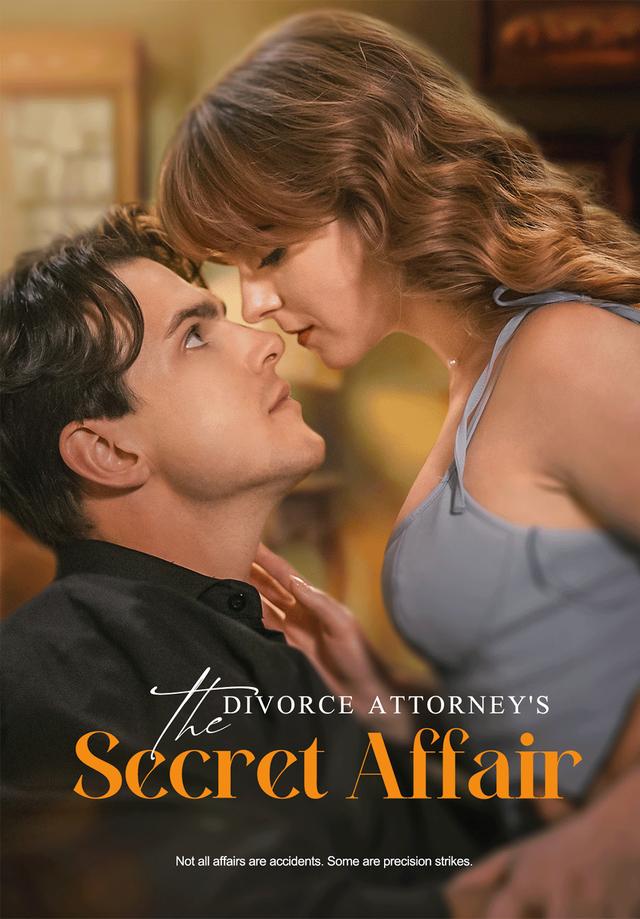 The Divorce Attorney's Secret Affair dizi afişi