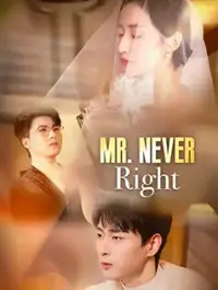Mr. Never Right - Latest Added