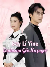 Bay Li Yine Dadısına Göz Kırpıyor dizi posteri