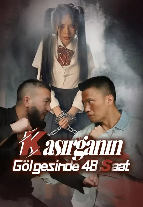 Kasırganın Gölgesinde 48 Saat dizi posteri