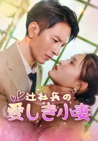 辻社長の愛しき小妻 dizi izle